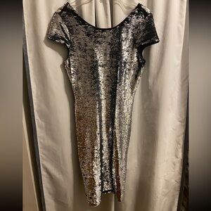 Renn Brand Flip Sequin Dress